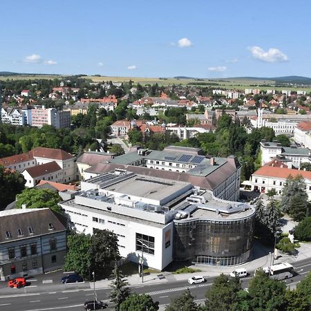 Panorama View Family Apartment Veszprém Eksteriør bilde