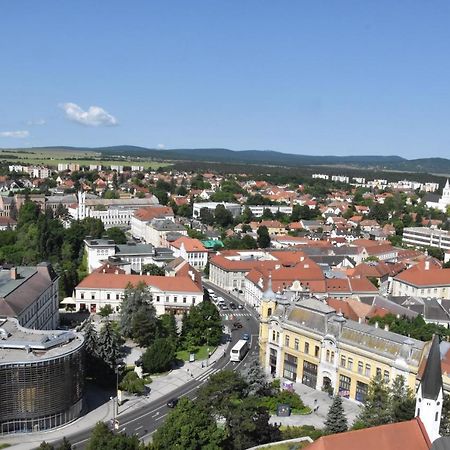 Panorama View Family Apartment Veszprém Eksteriør bilde