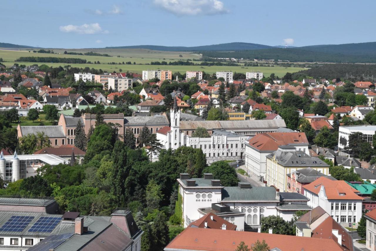 Panorama View Family Apartment Veszprém Eksteriør bilde