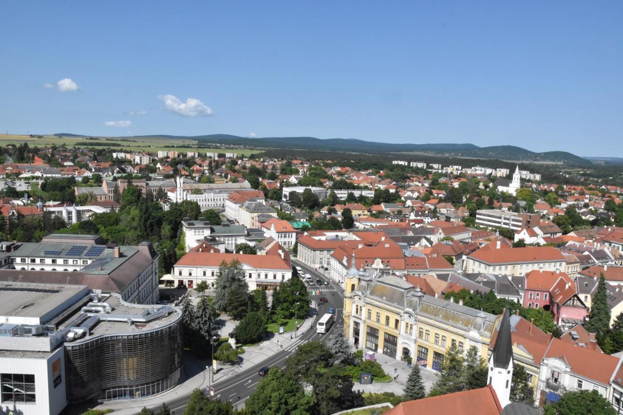 Panorama View Family Apartment Veszprém Eksteriør bilde